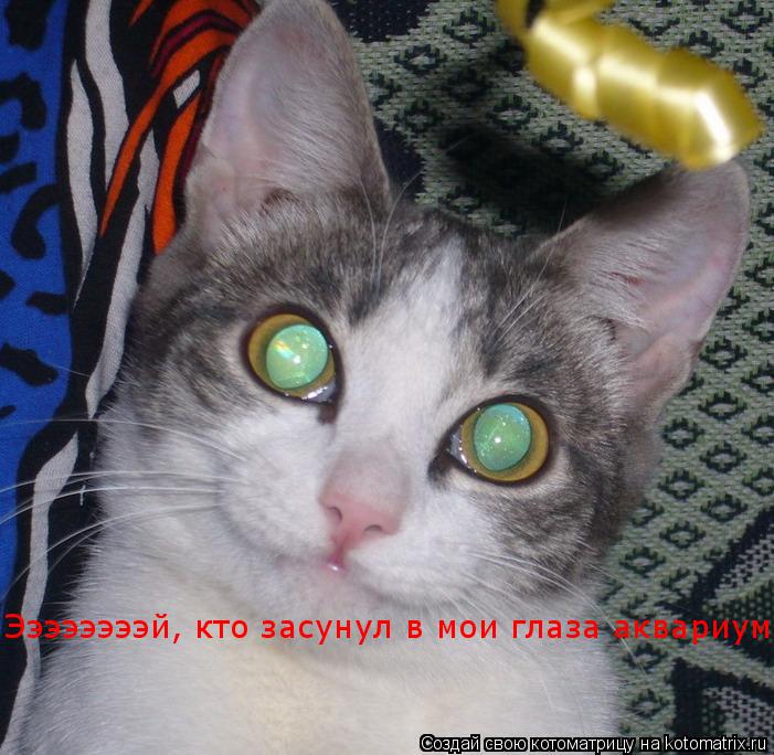 Котоматрица: Ээээээээй, кто засунул в мои глаза аквариум и ещё улыбаться заставил???