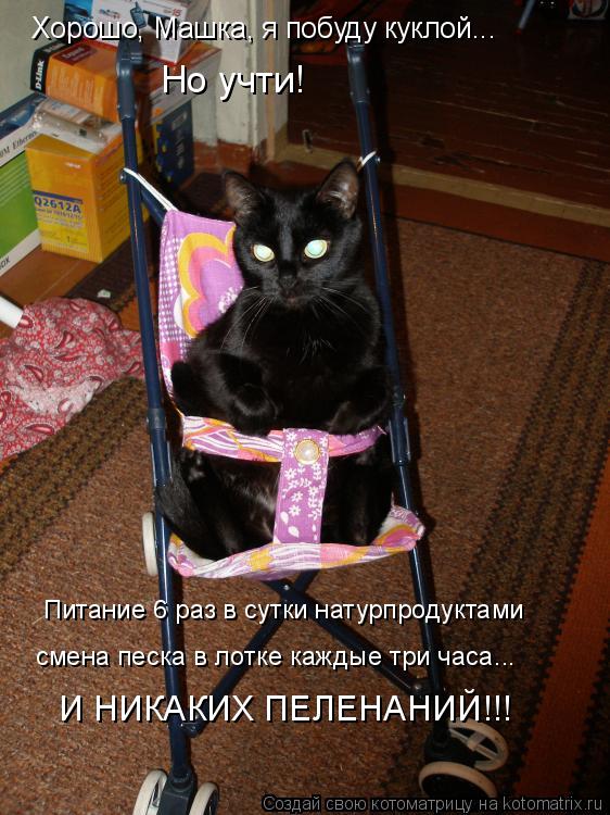 Котоматрица: Хорошо, Машка, я побуду куклой... Но учти!  Питание 6 раз в сутки натурпродуктами  смена песка в лотке каждые три часа... И НИКАКИХ ПЕЛЕНАНИЙ!!!