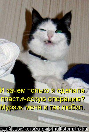 Котоматрица: И зачем только я сделала пластическую операцию? пластическую операцию? Мурзик меня и так любил.