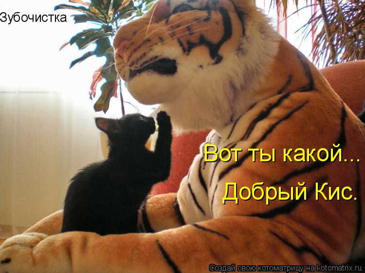 Зубочистка Вот ты какой... Добрый Кис.... Котоматрица: Зубочистка Вот ты какой... Добрый Кис.