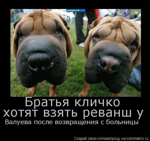 Братья кличко хотят взять реванш хотят взять реванш у Валуева после возвращения с больницы... Котоматрица: Братья кличко хотят взять реванш хотят взять реванш у Валуева после возвращения с больницы