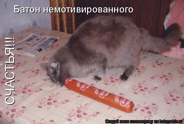 Батон немотивированного СЧАСТЬЯ!!!... Котоматрица: Батон немотивированного СЧАСТЬЯ!!!