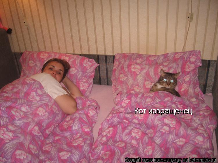 Кот извращенец... Котоматрица: Кот извращенец