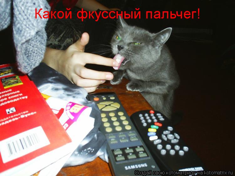 Котоматрица: Какой фкуссный пальчег!
