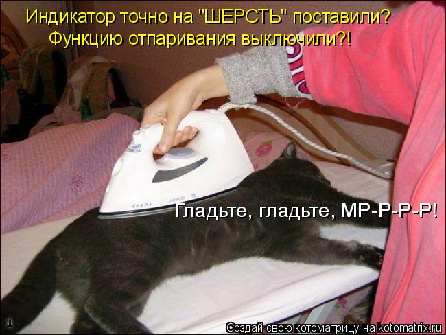 Индикатор точно на "ШЕРСТЬ" поставили? Функцию отпаривания выключили?! Гладьте, гладьте, МР-Р-Р-Р!... Котоматрица: Индикатор точно на "ШЕРСТЬ" поставили? Функцию отпаривания выключили?! Гладьте, гладьте, МР-Р-Р-Р!