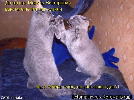 Да вы шо, Максим Викторович выж мне не тот лак купили как я теперь пойду на кино кошкодав?!... Котоматрица: Да вы шо, Максим Викторович выж мне не тот лак купили как я теперь пойду на кино кошкодав?!