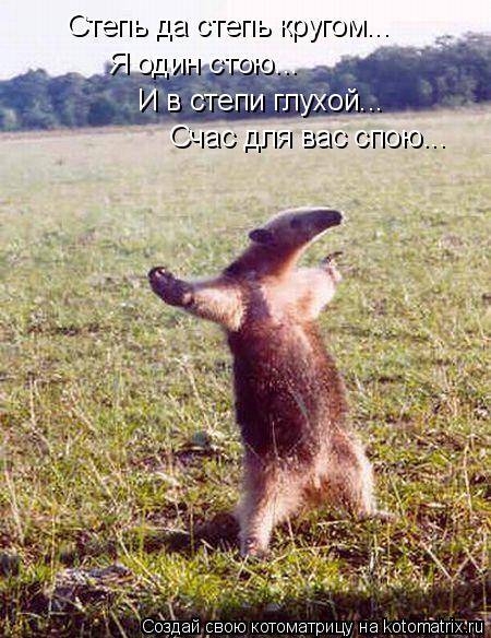 Степь да степь кругом... Я один стою... И в степи глухой... Счас для вас спою...... Котоматрица: Степь да степь кругом... Я один стою... И в степи глухой... Счас для вас спою...