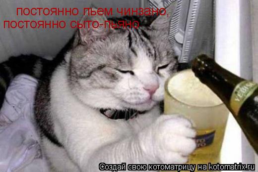 Котоматрица: постоянно пьем чинзано,  постоянно сыто-пьяно