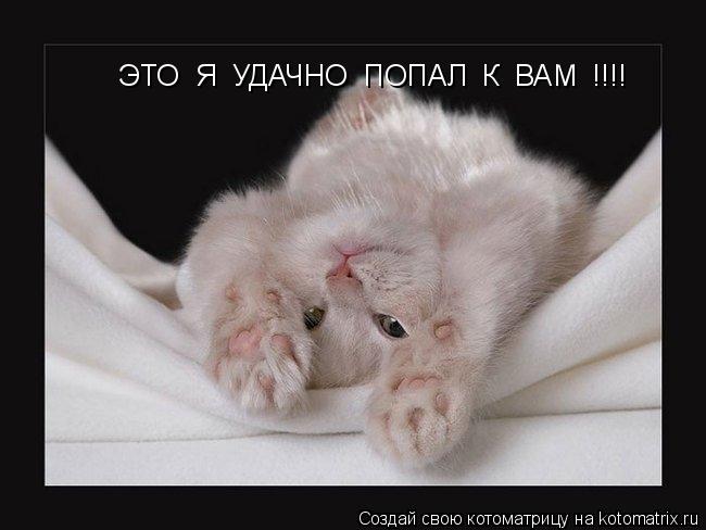Котоматрица: ЭТО  Я  УДАЧНО  ПОПАЛ  К  ВАМ  !!!!