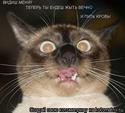 Котоматрица: ВИДИШ МЕНЯ? ТЕПЕРЬ ТЫ БУДЕШ ЖЫТЬ ВЕЧНО И ПИТЬ КРОВЬ!