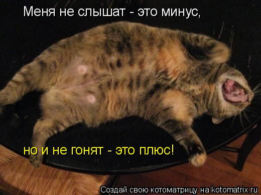 Котоматрица: Меня не слышат - это минус,  но и не гонят - это плюс!