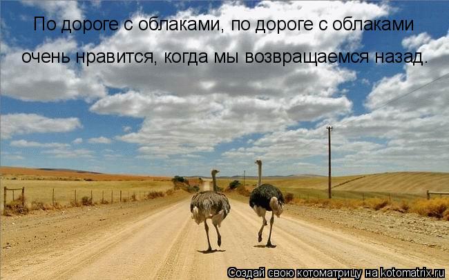 Котоматрица: По дороге с облаками, по дороге с облаками  очень нравится, когда мы возвращаемся назад.