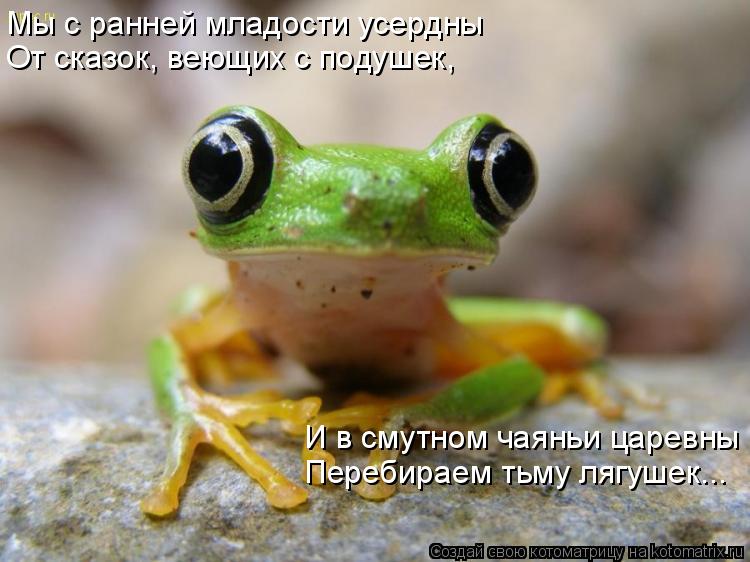 Мы с ранней младости усердны От сказок, веющих с подушек, И в смутном чаяньи царевны Перебираем тьму ... Котоматрица: Мы с ранней младости усердны От сказок, веющих с подушек, И в смутном чаяньи царевны Перебираем тьму лягушек...