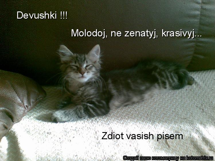 Котоматрица: Devushki !!! Molodoj, ne zenatyj, krasivyj... Zdiot vasish pisem