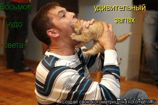 Восьмое чудо света- удивительный запах... Котоматрица: Восьмое чудо света- удивительный запах