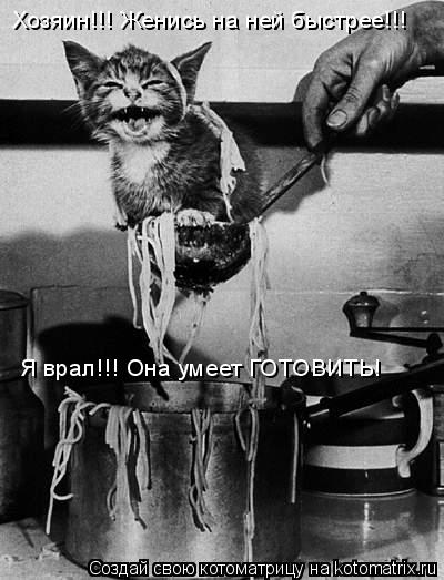 Хозяин!!! Женись на ней быстрее!!! Я врал!!! Она умеет ГОТОВИТЬ!... Котоматрица: Хозяин!!! Женись на ней быстрее!!! Я врал!!! Она умеет ГОТОВИТЬ!