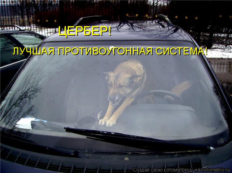 ЦЕРБЕР! ЛУЧШАЯ ПРОТИВОУГОННАЯ СИСТЕМА!... Котоматрица: ЦЕРБЕР! ЛУЧШАЯ ПРОТИВОУГОННАЯ СИСТЕМА!