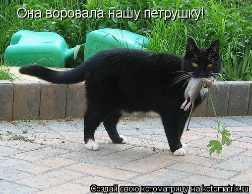 Она воровала нашу петрушку!... Котоматрица: Она воровала нашу петрушку!