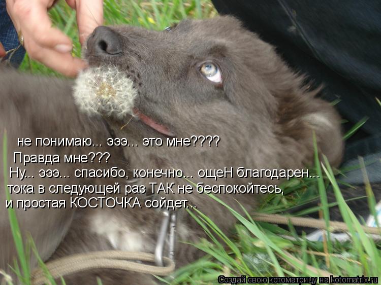 не понимаю... эээ... это мне???? Правда мне??? Ну... эээ... спасибо, конечно... ощеН благодарен... то... Котоматрица: не понимаю... эээ... это мне???? Правда мне??? Ну... эээ... спасибо, конечно... ощеН благодарен... тока в следующей раз ТАК не беспокойтесь, и простая