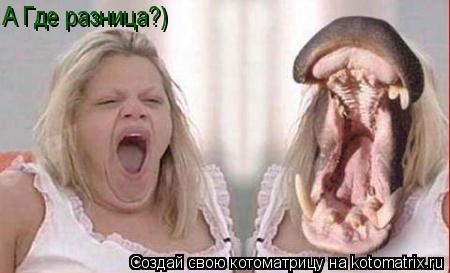 А Где разница?)... Котоматрица: А Где разница?)