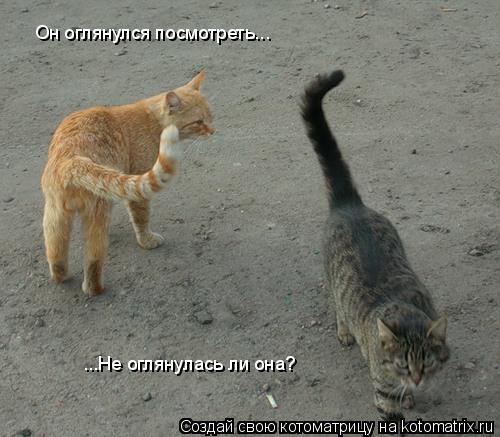 Он оглянулся посмотреть... ...Не оглянулась ли она?... Котоматрица: Он оглянулся посмотреть... ...Не оглянулась ли она?
