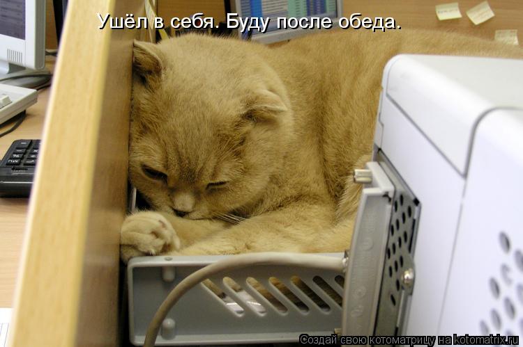 Ушёл в себя. Буду после обеда.... Котоматрица: Ушёл в себя. Буду после обеда.