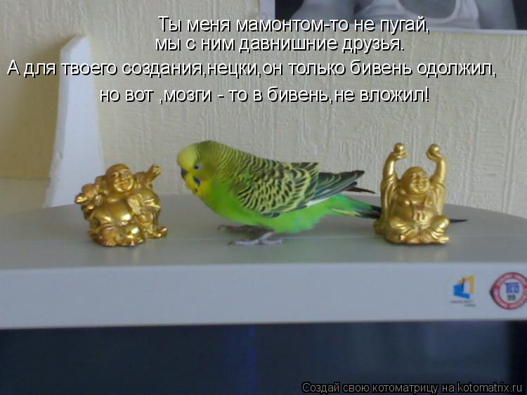 Ты меня мамонтом-то не пугай, мы с ним давнишние друзья. А для твоего создания,нецки,он только бивень... Котоматрица: Ты меня мамонтом-то не пугай, мы с ним давнишние друзья. А для твоего создания,нецки,он только бивень одолжил, но вот ,мозги - то в бивень,не вл