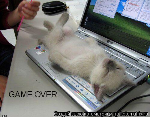 ..GAME OVER...... Котоматрица: ..GAME OVER...