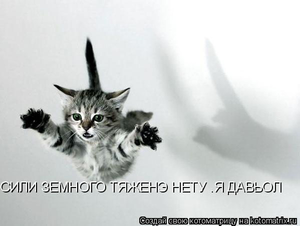 СИЛИ ЗЕМНОГО ТЯЖЕНЭ НЕТУ .Я ДАВЬОЛ... Котоматрица: СИЛИ ЗЕМНОГО ТЯЖЕНЭ НЕТУ .Я ДАВЬОЛ