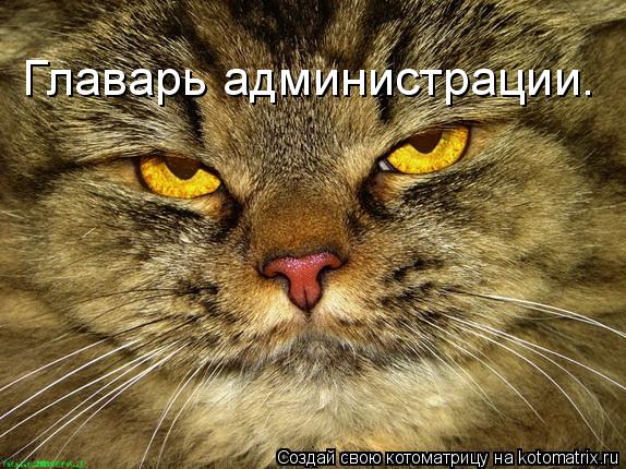 Главарь администрации.... Котоматрица: Главарь администрации.