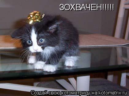 ЗОХВАЧЕН!!!!!... Котоматрица: ЗОХВАЧЕН!!!!!
