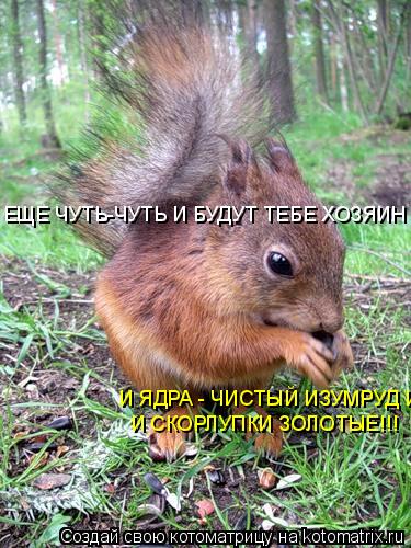 ЕЩЕ ЧУТЬ-ЧУТЬ И БУДУТ ТЕБЕ ХОЗЯИН И ЯДРА - И ЯДРА - ЧИСТЫЙ ИЗУМРУД И СКОРЛУПКИ ЗОЛОТЫЕ!!! И СКОРЛУП... Котоматрица: ЕЩЕ ЧУТЬ-ЧУТЬ И БУДУТ ТЕБЕ ХОЗЯИН И ЯДРА - И ЯДРА - ЧИСТЫЙ ИЗУМРУД И СКОРЛУПКИ ЗОЛОТЫЕ!!! И СКОРЛУПКИ ЗОЛОТЫЕ!!!