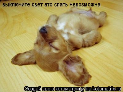 выключите свет ато спать невозможна... Котоматрица: выключите свет ато спать невозможна
