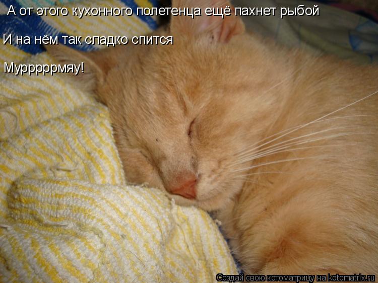 А от этого кухонного полетенца ещё пахнет рыбой И на нём так сладко спится Мурррррмяу!... Котоматрица: А от этого кухонного полетенца ещё пахнет рыбой И на нём так сладко спится Мурррррмяу!