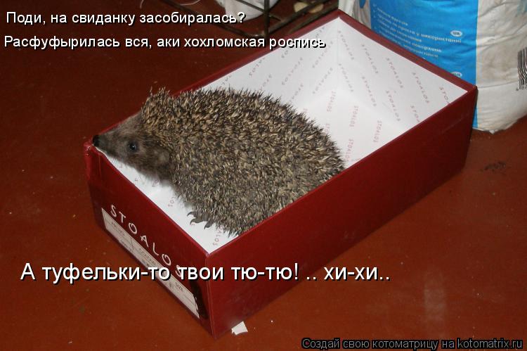 Поди, на свиданку засобиралась? Расфуфырилась вся, аки хохломская роспись А туфельки-то твои тю-тю! ... Котоматрица: Поди, на свиданку засобиралась? Расфуфырилась вся, аки хохломская роспись А туфельки-то твои тю-тю! .. хи-хи..