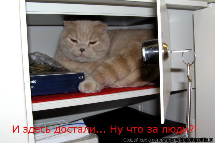 И здесь достали... Ну что за люди?!... Котоматрица: И здесь достали... Ну что за люди?!