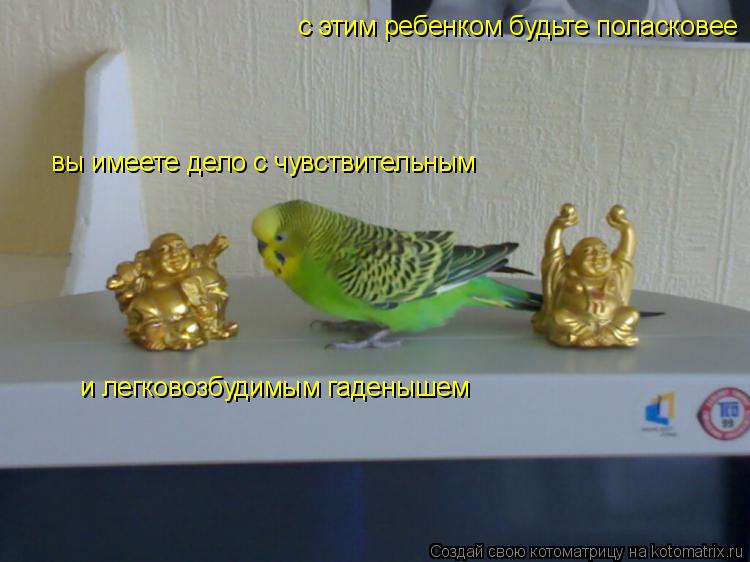 с этим ребенком будьте поласковее вы имеете дело с чувствительным и легковозбудимым гаденышем... Котоматрица: с этим ребенком будьте поласковее вы имеете дело с чувствительным и легковозбудимым гаденышем