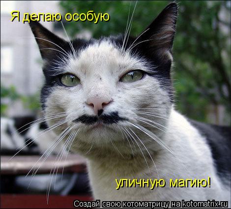 Я делаю особую уличную магию!... Котоматрица: Я делаю особую уличную магию!
