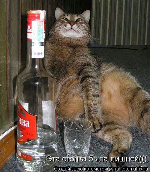 Эта стопка была лишней(((...... Котоматрица: Эта стопка была лишней(((...
