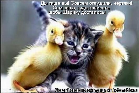 Ды тише вы! Совсем оглушили, чертяки! Сам знаю, куда написать шобы Шарику досталось!... Котоматрица: Ды тише вы! Совсем оглушили, чертяки! Сам знаю, куда написать шобы Шарику досталось!