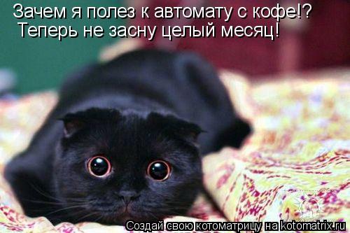 Зачем я полез к автомату с кофе!? Теперь не засну целый месяц!... Котоматрица: Зачем я полез к автомату с кофе!? Теперь не засну целый месяц!