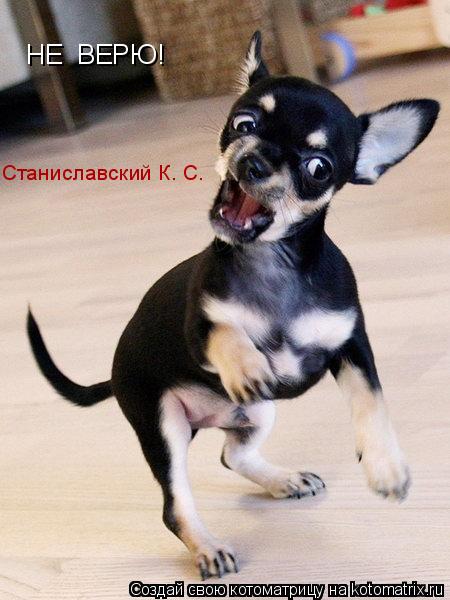 НЕ ВЕРЮ! Станиславский К. С.... Котоматрица: НЕ ВЕРЮ! Станиславский К. С.