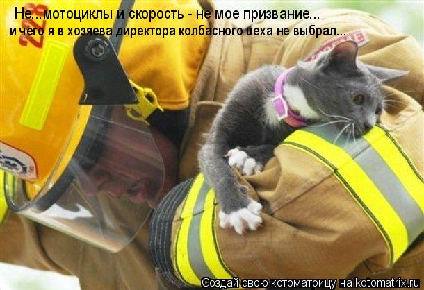 Не...мотоциклы и скорость - не мое призвание... и чего я в хозяева директора колбасного цеха не выбра... Котоматрица: Не...мотоциклы и скорость - не мое призвание... и чего я в хозяева директора колбасного цеха не выбрал...