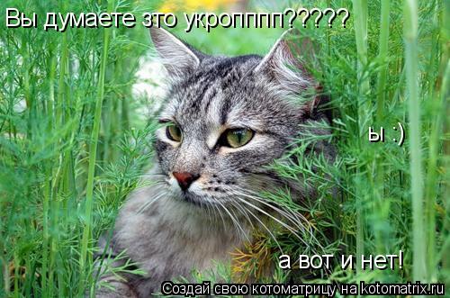 Вы думаете зто укропппп????? ы :) а вот и нет!... Котоматрица: Вы думаете зто укропппп????? ы :) а вот и нет!