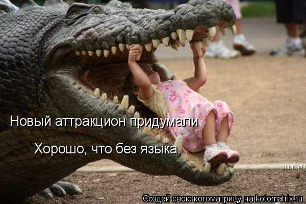 Новый аттракцион придумали Хорошо, что без языка.... Котоматрица: Новый аттракцион придумали Хорошо, что без языка.