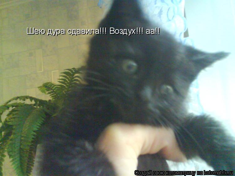 Шею дура сдавила!!! Воздух!!! аа!!... Котоматрица: Шею дура сдавила!!! Воздух!!! аа!!