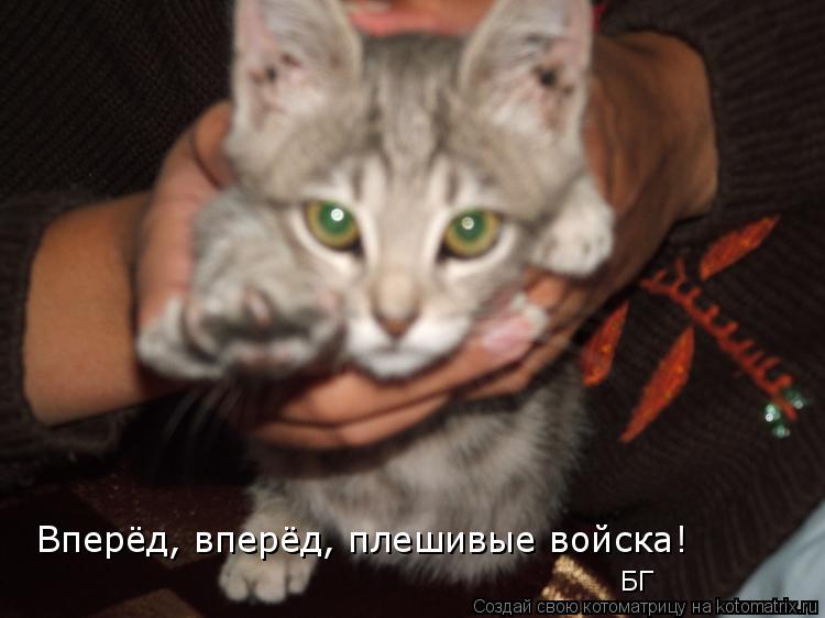 Вперёд, вперёд, плешивые войска! © БГ Вперёд, вперёд, плешивые войска! © БГ... Котоматрица: Вперёд, вперёд, плешивые войска! © БГ Вперёд, вперёд, плешивые войска! © БГ