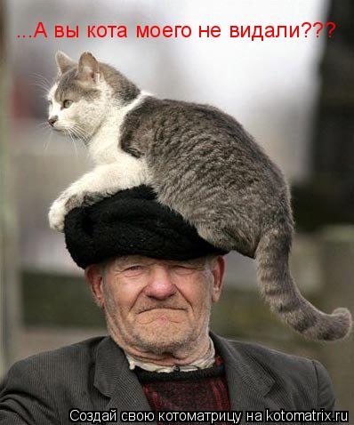 ...А вы кота моего не видали???... Котоматрица: ...А вы кота моего не видали???