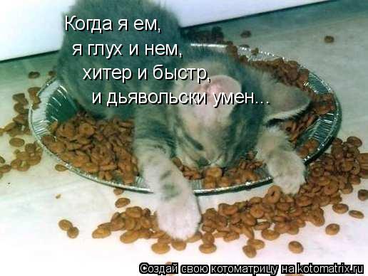 Когда я ем, я глух и нем, хитер и быстр, и дьявольски умен...... Котоматрица: Когда я ем, я глух и нем, хитер и быстр, и дьявольски умен...
