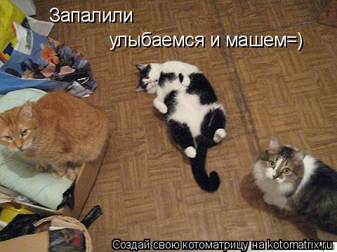 Запалили улыбаемся и машем=)... Котоматрица: Запалили улыбаемся и машем=)